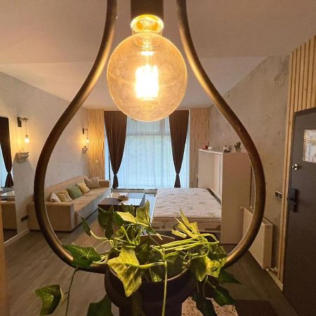 Апартаменти Mat Rent Пояна-Брашов Екстер'єр фото