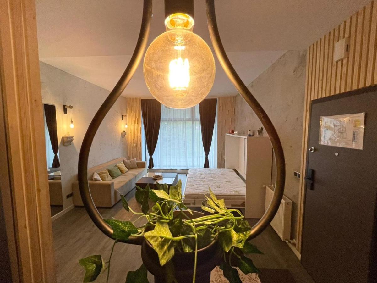 Апартаменти Mat Rent Пояна-Брашов Екстер'єр фото